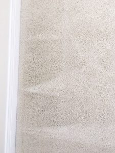 carpet cleaning trabuco canyob