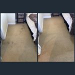 best carpet cleaning service in newport beach, ca