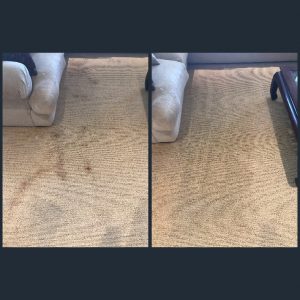 carpet cleaning in newport coast for blood stains removal