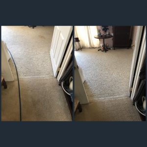 carpet cleaning pet stains in newport beach