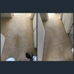 carpet cleaning pet stains in newport beach california