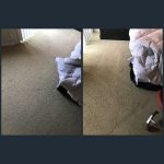 carpet cleaner newport beach