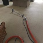 carpet cleaning in corona del mar