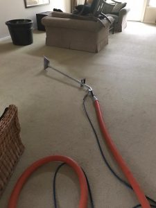 carpet cleaning in corona del mar