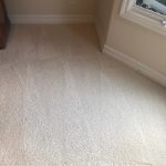 carpet cleaners newport beach